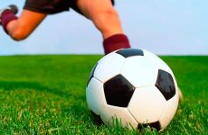 Buy Artificial Grass with Ease in Ireland